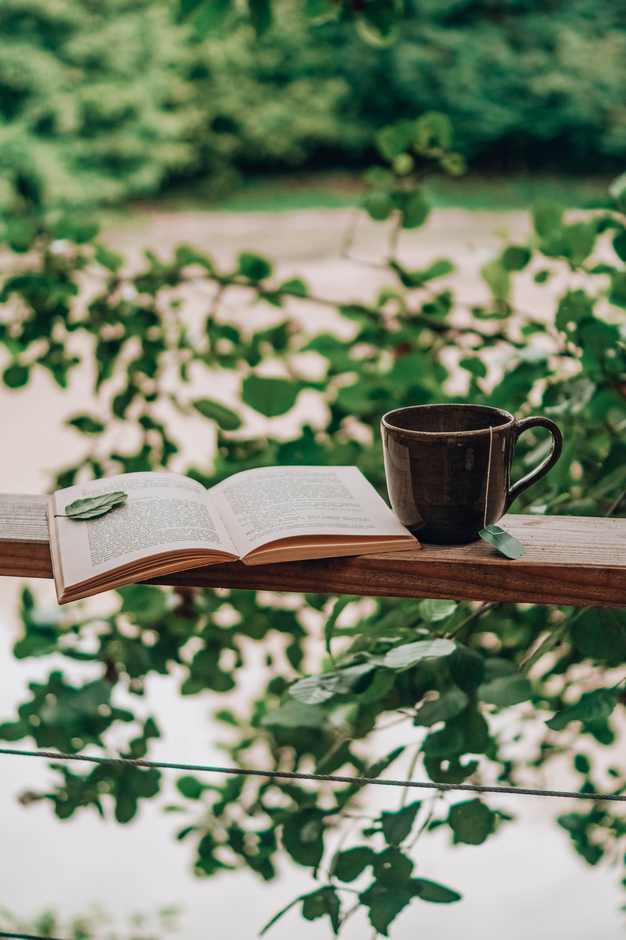 lire sur la terrasse